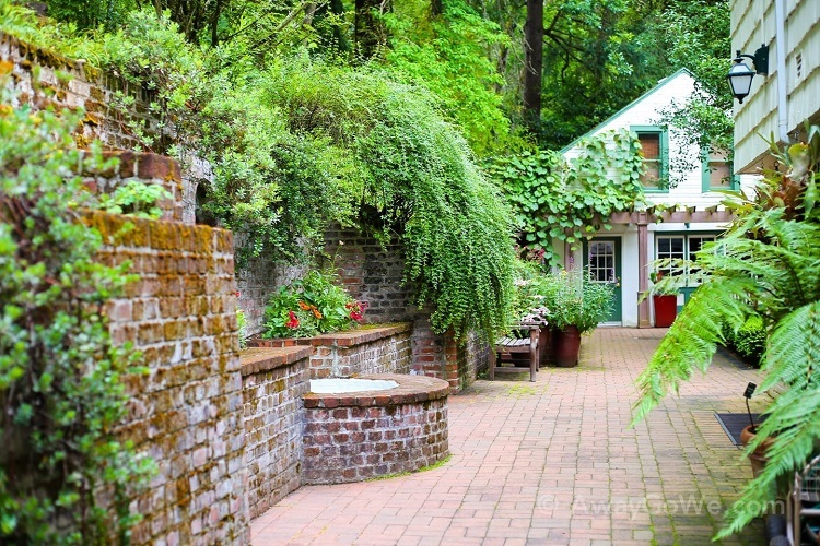 La magia del jardín botánico de Leach