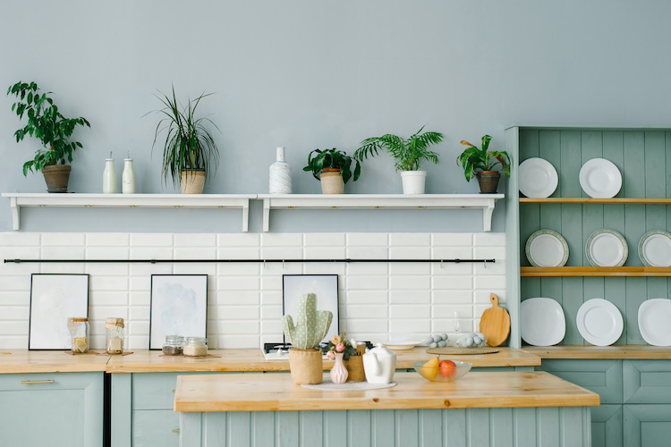 plantas en la cocina