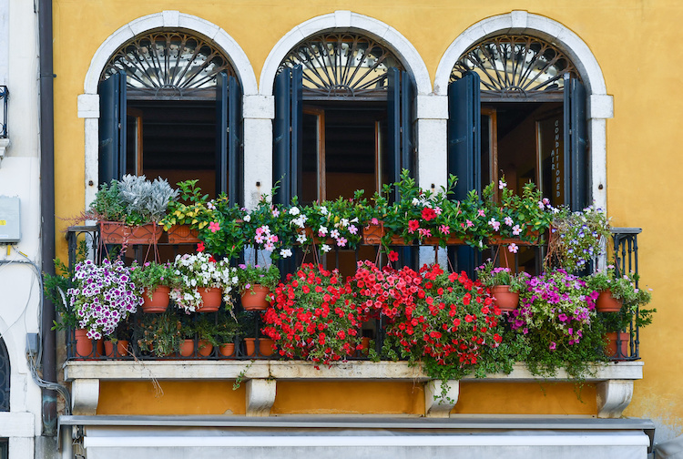 balcones con flores