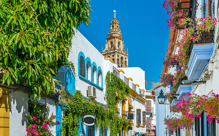 Calle de Córdoba con paredes blancas, detalles azules y flores y plantas por las paredes, con el campanario de la Mezquita de Córdoba al fondo.