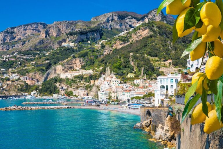 Pequeña cala de agua verde, montaña al fondo y limonero en primer plano