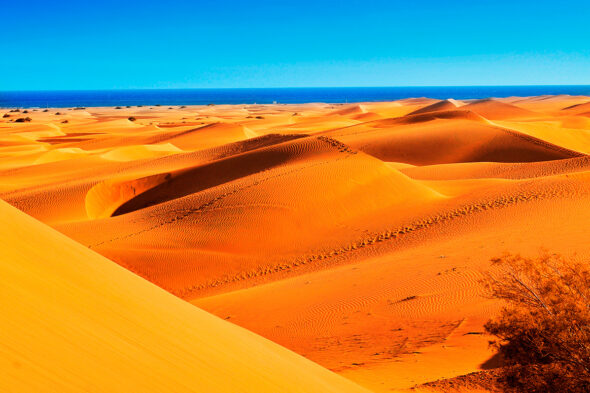 Playa de las Dunas de Maspalomas, una de las mejores playas de Gran Canaria