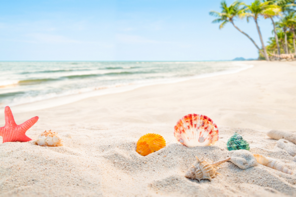 Playa con conchas, representando las vacaciones