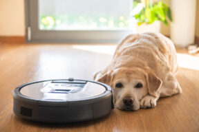 Robot aspirador junto a perro tumbado