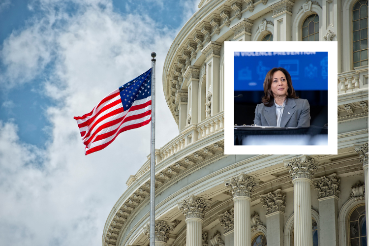 Fotografía de Kamala Harris frente a edificio oficial