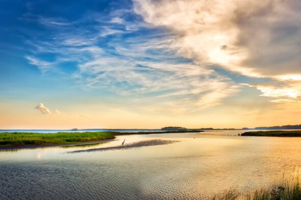 Holland Island, la isla engullida por el agua