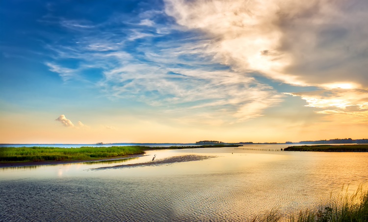 Holland Island, la isla engullida por el agua