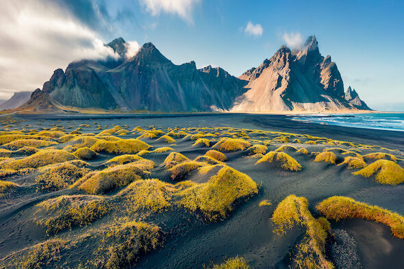 Por qué no hay árboles en Islandia