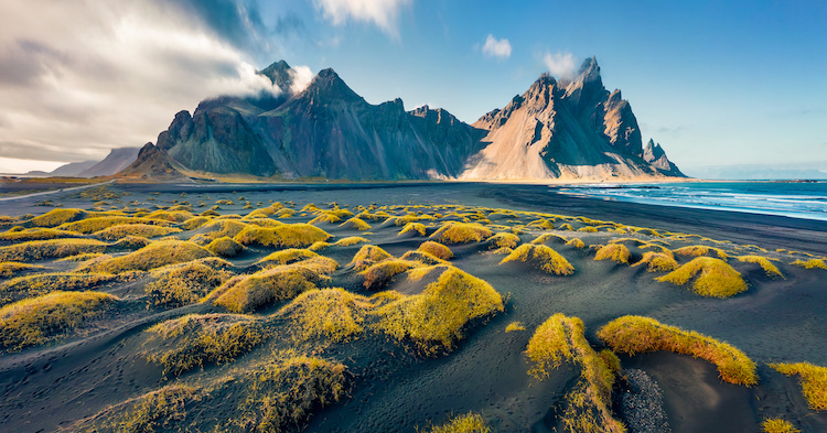 Por qué no hay árboles en Islandia