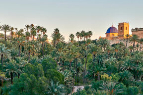 Chalets de lujo en Elche