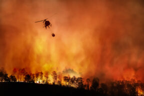 Los incendios de Los Ángeles, por qué los hogares estadounidenses son más vulnerables a los efectos del cambio climático