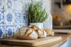 Azulejos en la cocina: elegancia y funcionalidad para tu hogar